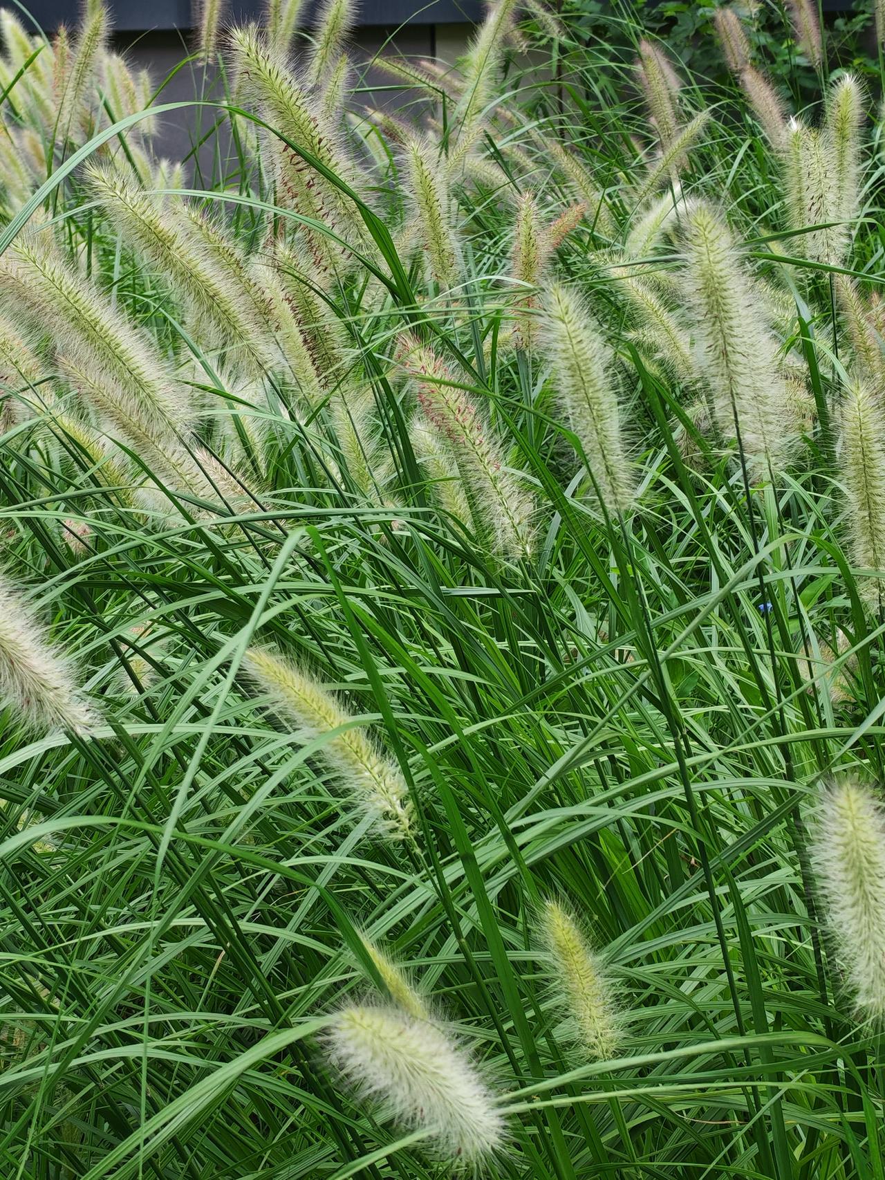 冬日生活打卡季杨绛先生说：“上苍不会让所有幸福集中到某一个人身上，得到了爱情未