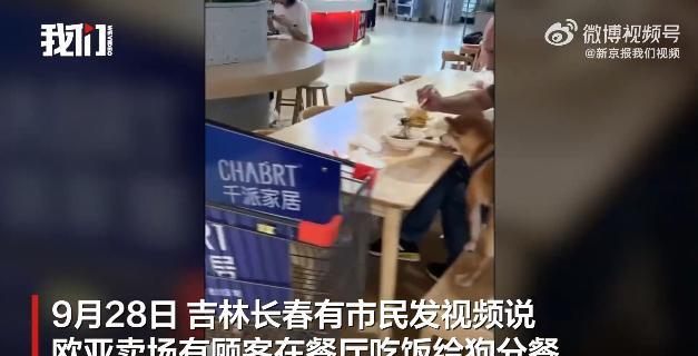 必须严惩！9月28日，吉林长春，一老人在餐厅吃饭时，竟然将狗带了进去，而且还让狗