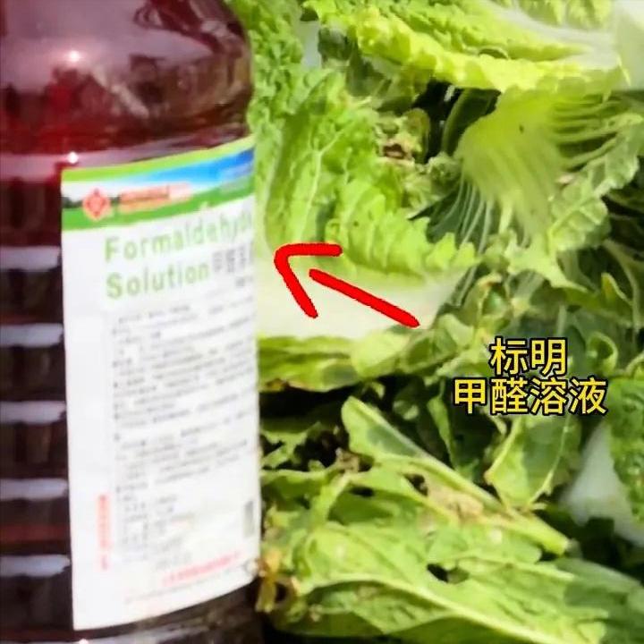 “甲醛泡白菜风波”菜农被害惨了！甲醛是收购商泡的，但出事后承受最大损失的是菜农，