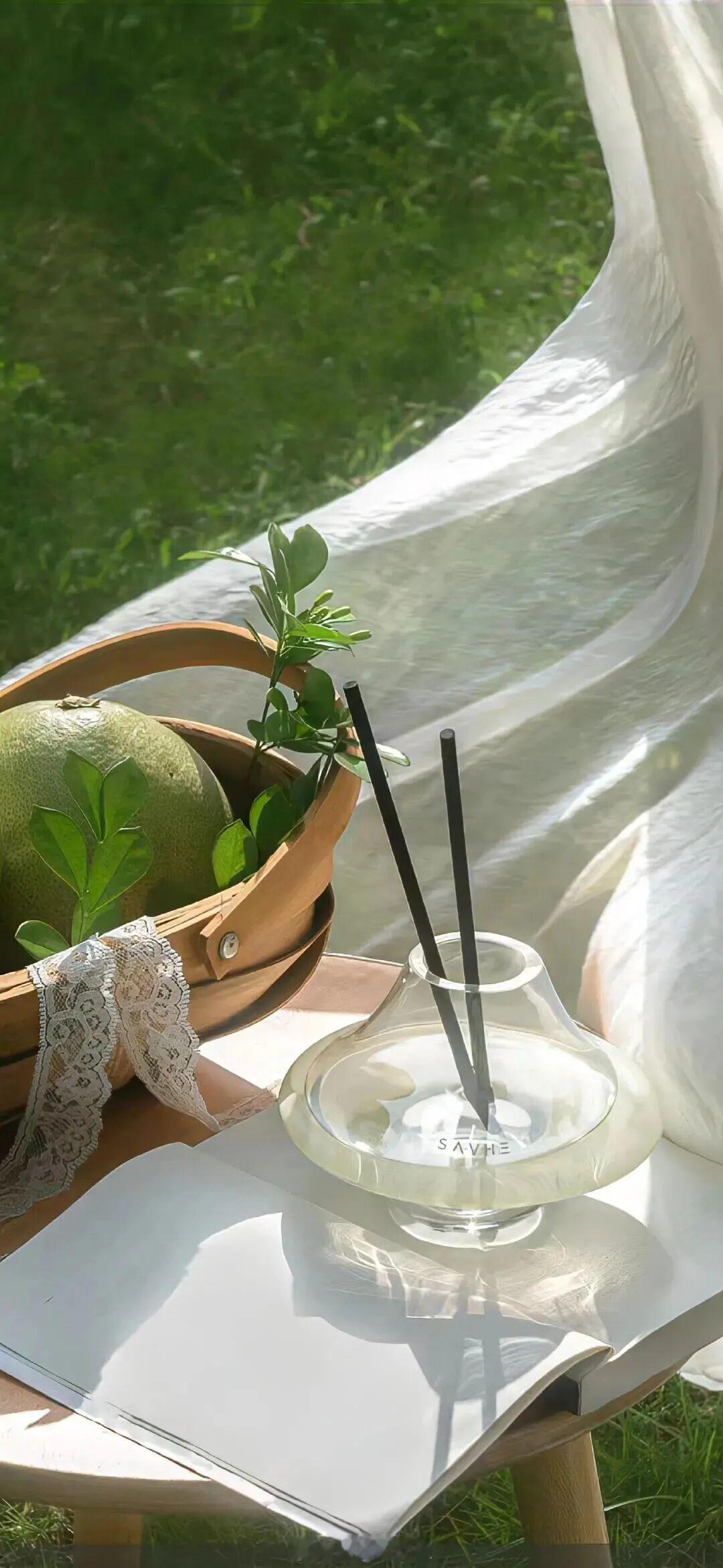 我心率低，很少有心动的感觉，对你是唯一的例外。——弃吴钩《钢铁森林》早安