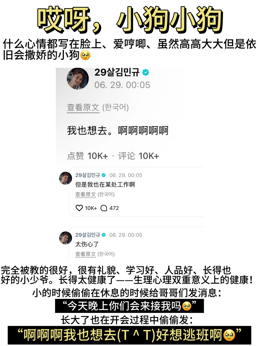 很健康快乐，笨笨萌萌活着的金珉奎小狗