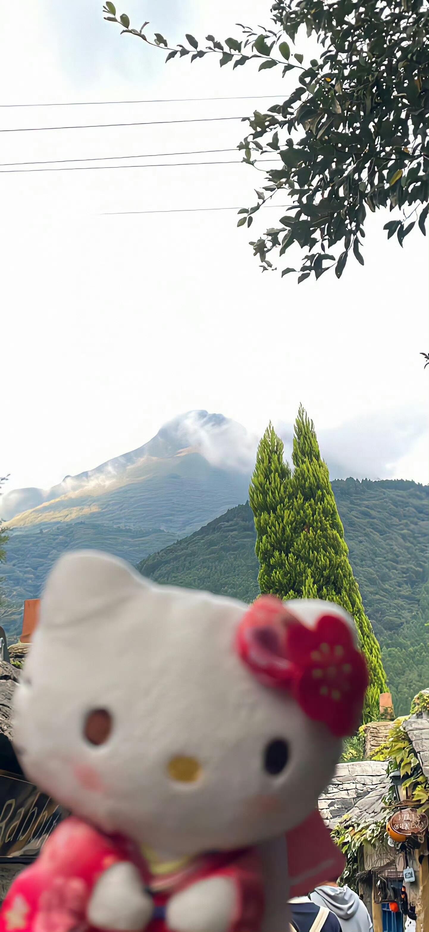 治愈系壁纸｜解锁一天好心情✨|手机壁纸