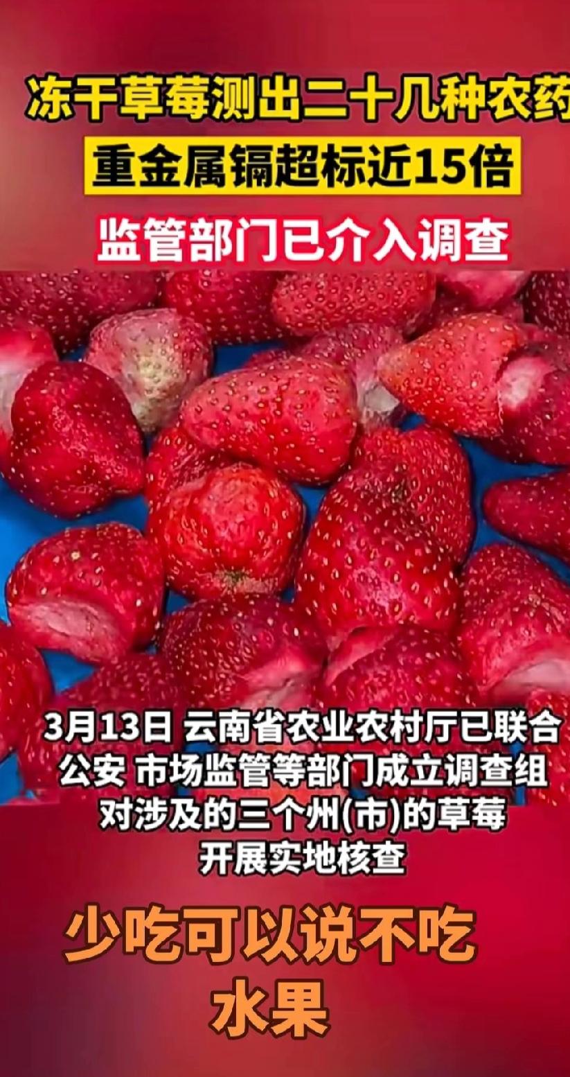 国家曝光云南毒草莓！商户主动投毒，流窜至全国多地，利益链被扒。国家正式曝光