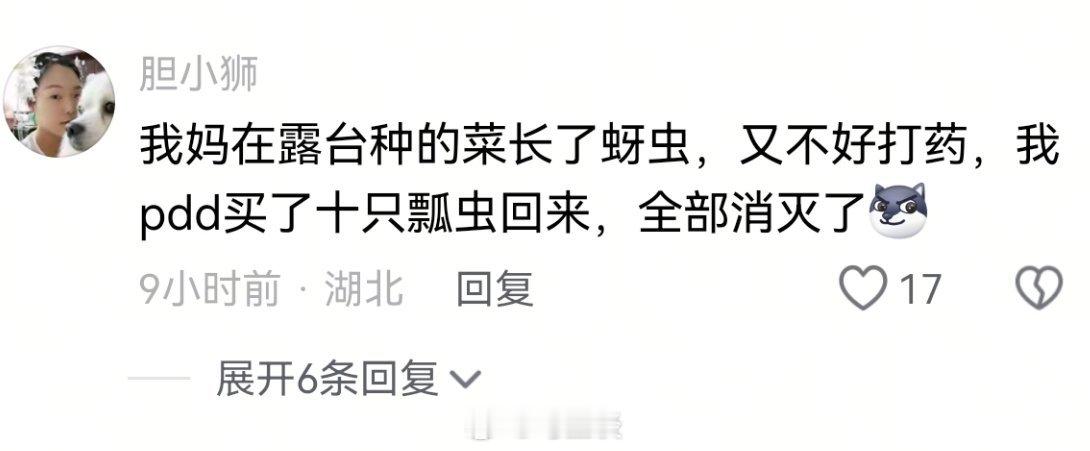 拼多多真的啥都能买啊…[笑着哭][笑着哭][笑着哭]​​​