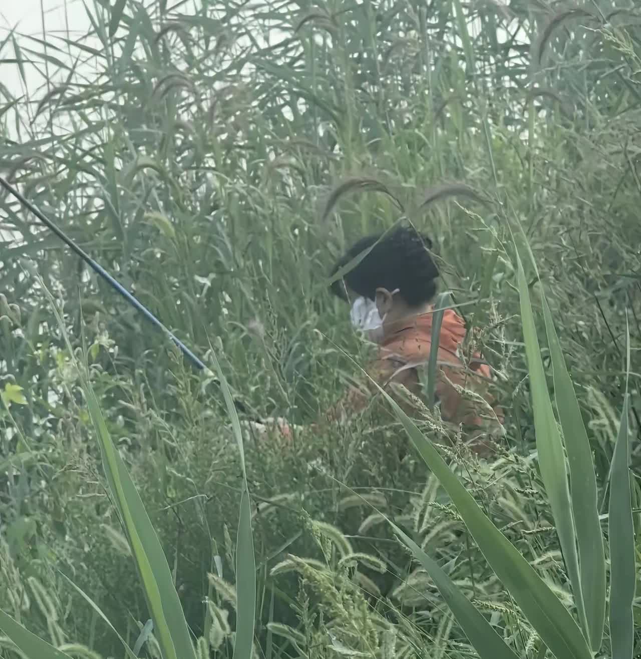最近三叔跟三婶闹离婚了，两个人都五六十岁的人了，还整这出，原因是三婶最近迷上了钓