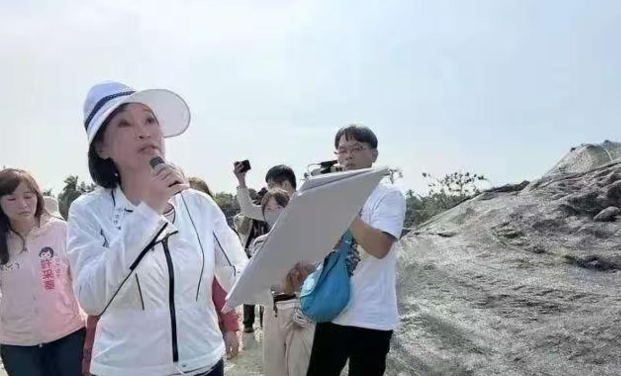 柯志恩违纪参选,遭到国民党的警告! 说白了,柯志恩没有一点政治人物的素质,根