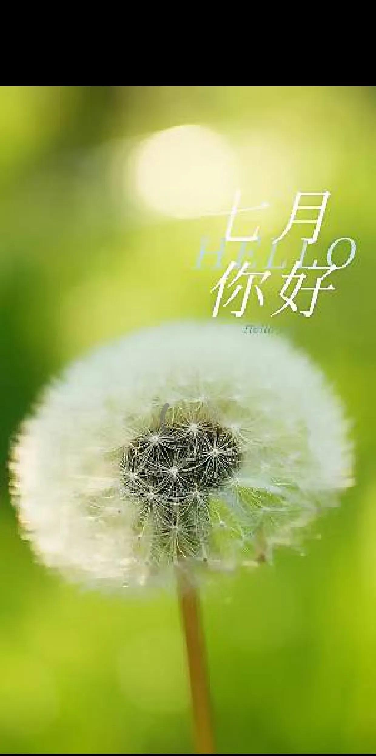 朋友孩子今年要上幼儿园，如果按划片，家门口的幼儿园是私立的，费用高。后来听人说今
