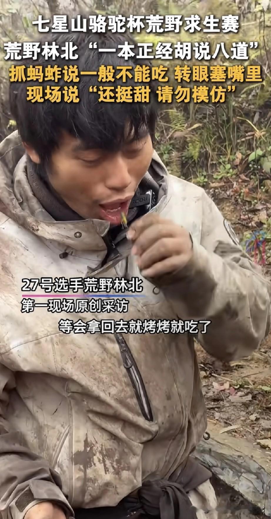 林北一本正经瞎掰，说蚂蚱不能吃，转头塞嘴里喊挺甜湖南张家界这场荒野赛太会整