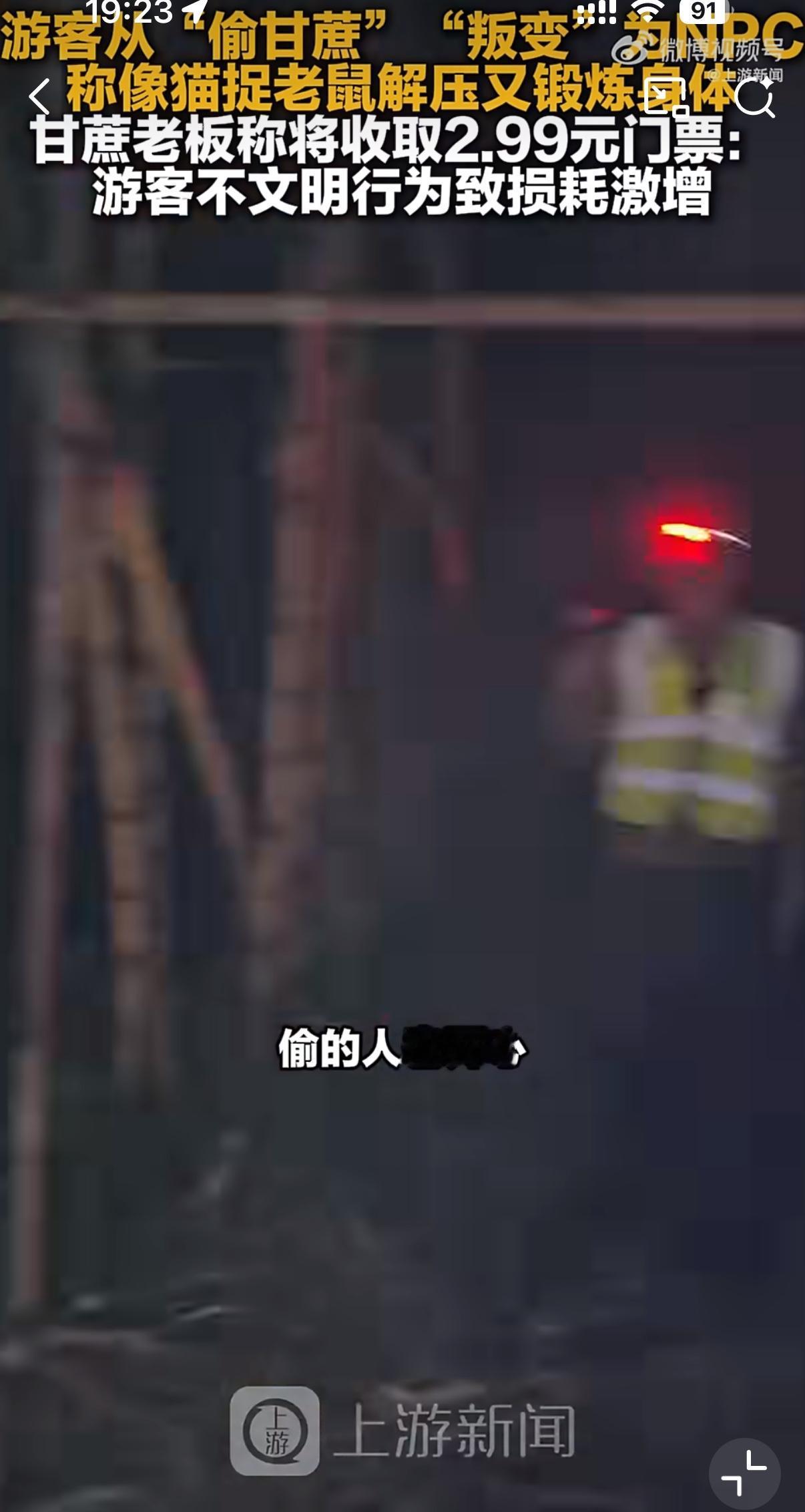 谁能想到四川眉山有个农民大哥，脑子一转把甘蔗地改成“自助偷甘蔗”的玩法，火得全网