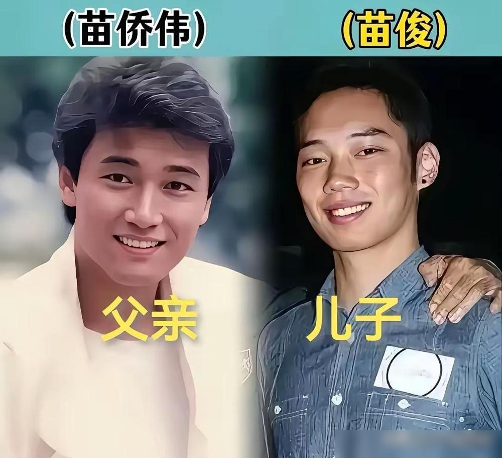 哎呦我去，这到底是基因突变了，还是人类反祖了！这17位明星的儿子长得怎么长得越