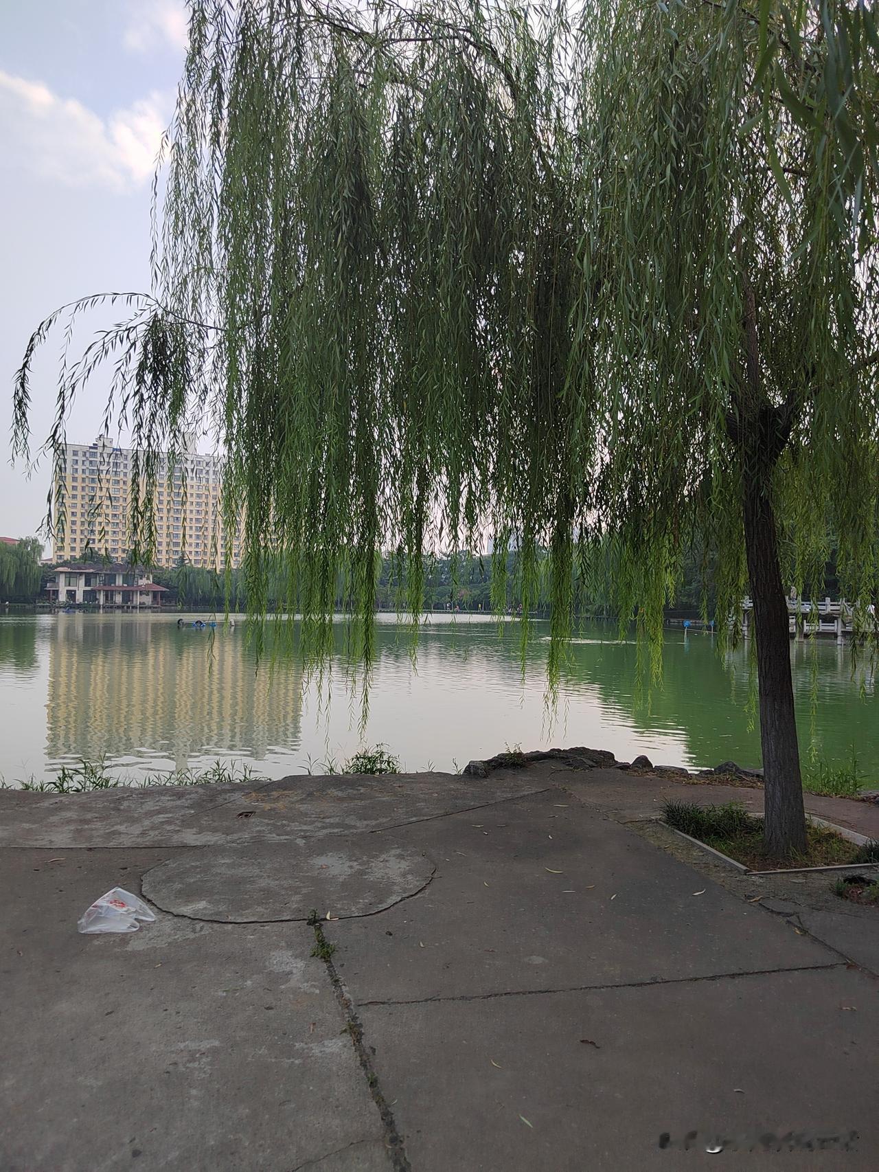 退休后别找不自在，有三点不要去做！要想退休没烦恼，就得做个聪明人！第一，不要