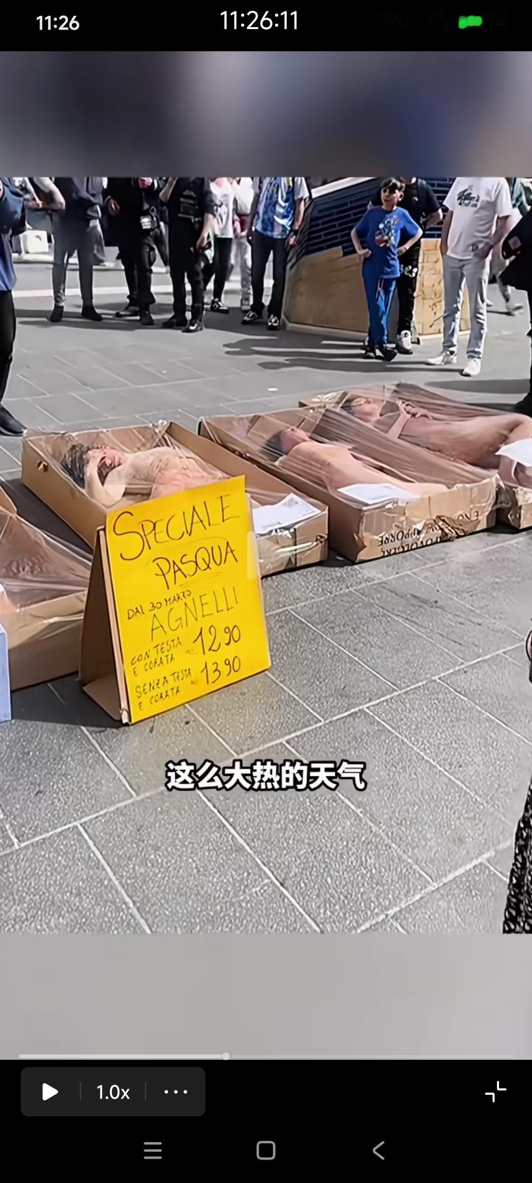 意大利动保主义者这种抗议方式危险性超高，千万别模仿呀～意大利动物保护者的街头