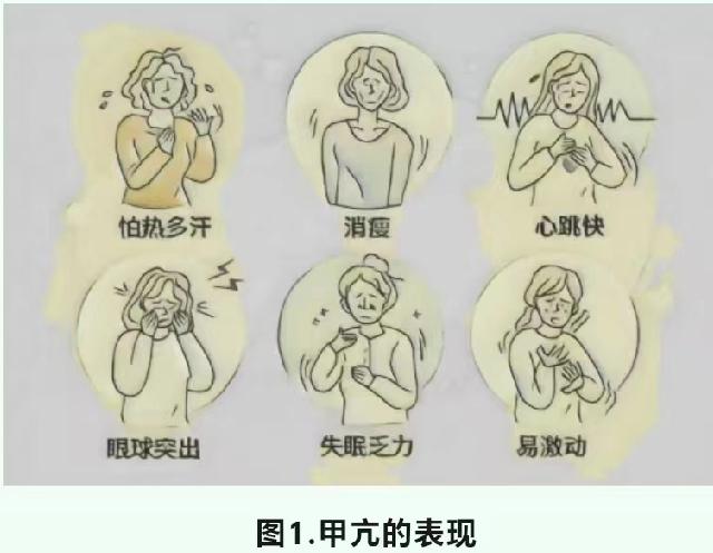 甲功五项检查对评估甲状腺功能超重要。它包含FT3、FT4、T3、T4、TSH这五