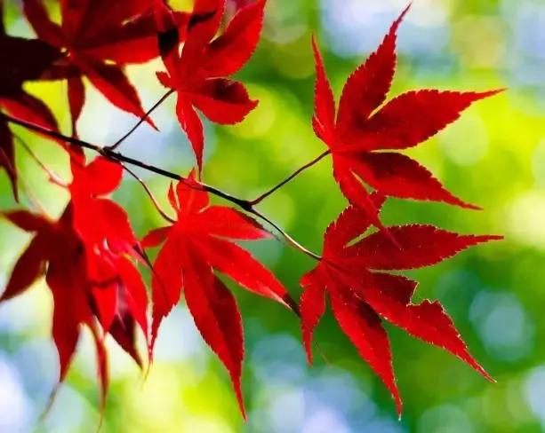 生活里，总有人会羡慕别人的生活，觉得人家光芒万丈。可别忘了“只要内心不乱，外界就