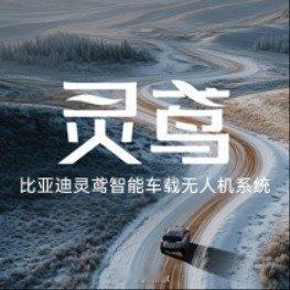 三月份比亚迪的大事件和发布会是一场接一场啊。刚公布完2月销量：1-2月卖了超62