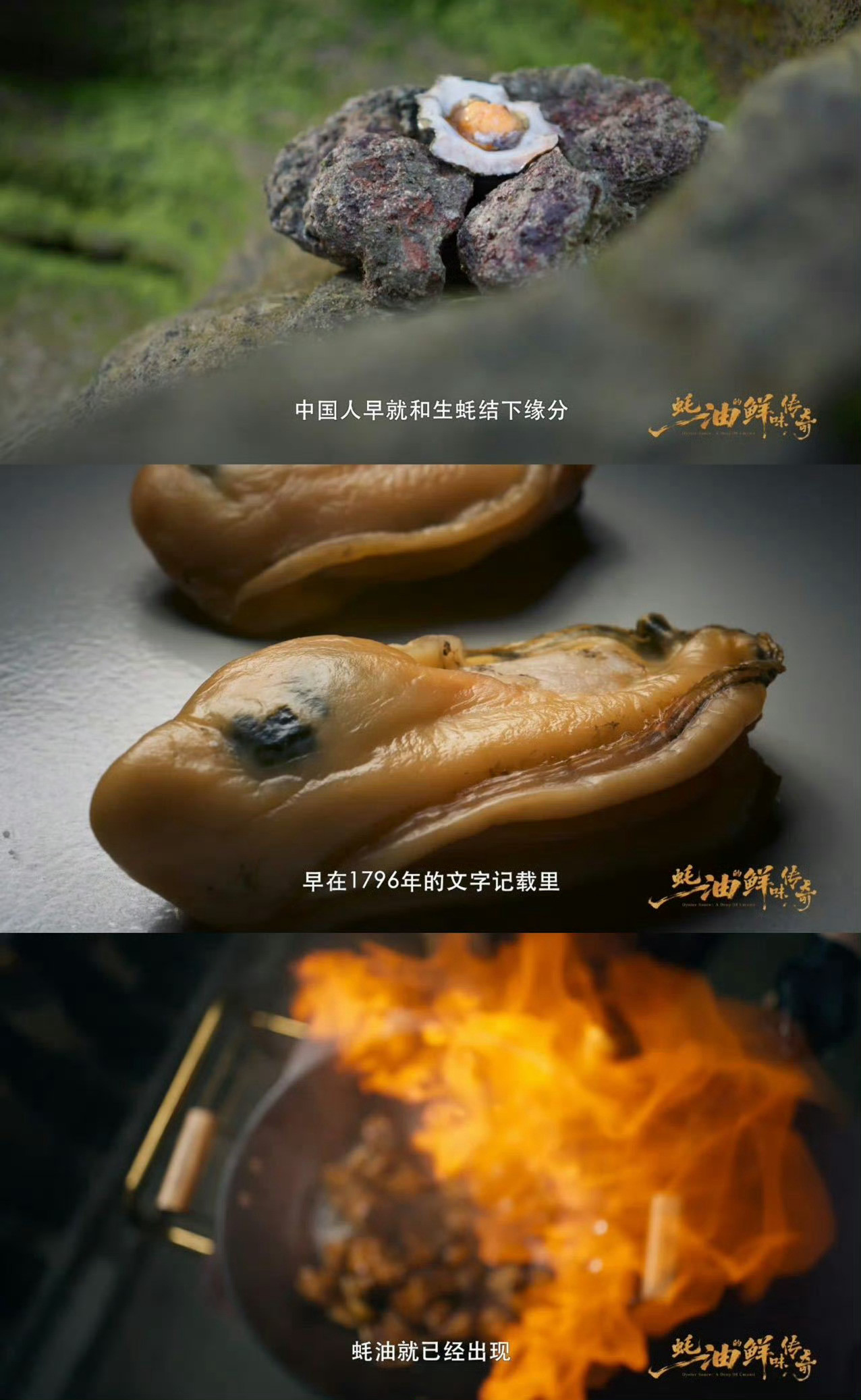 原来1796年老祖宗就吃上蚝油了清代诗人写诗只为换一瓶蚝油，这鲜味传承太绝了！