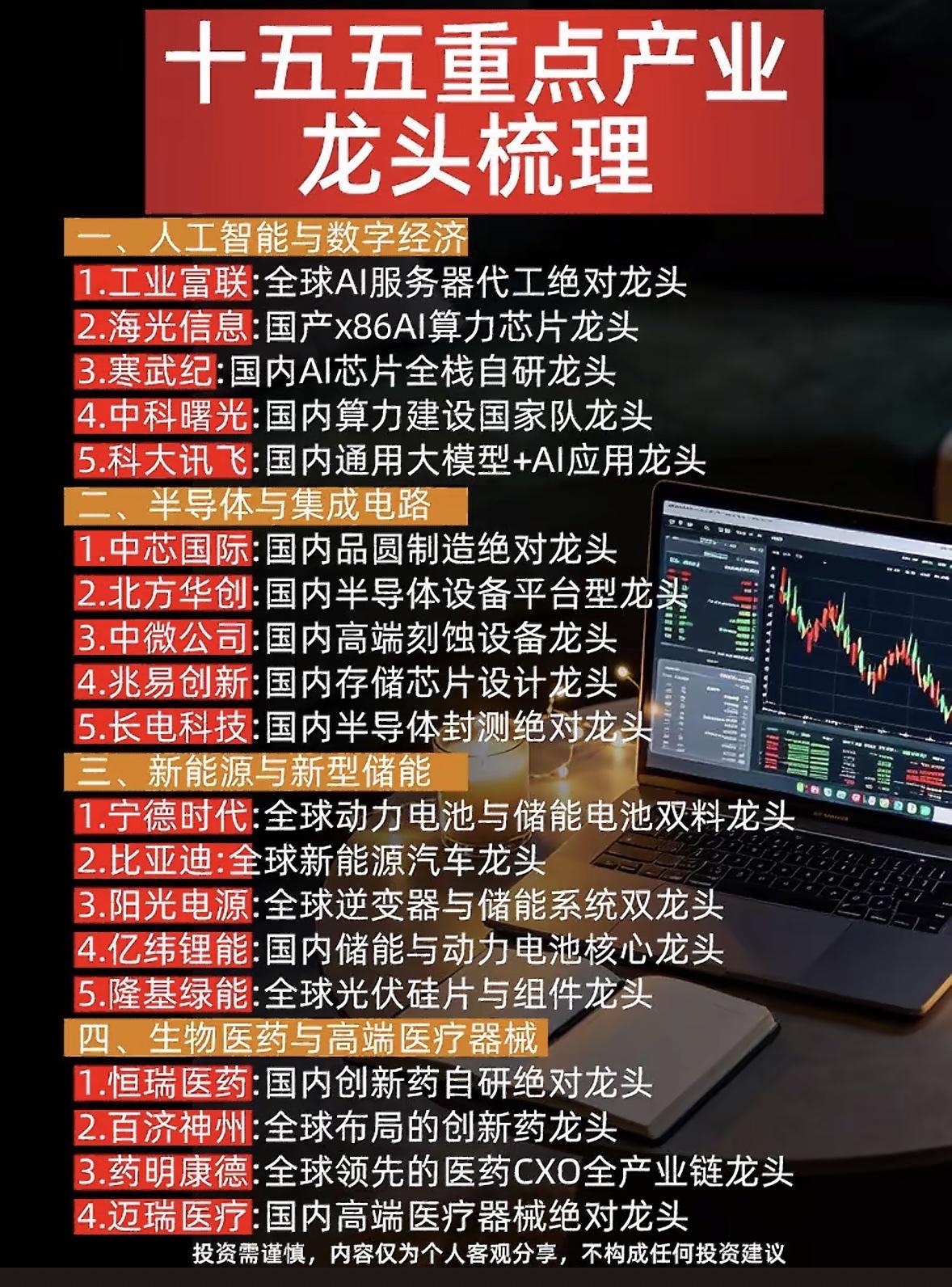 十五五重点几个行业的龙头公司。最近翻了十五五规划的重点赛道梳理，发现不少藏在