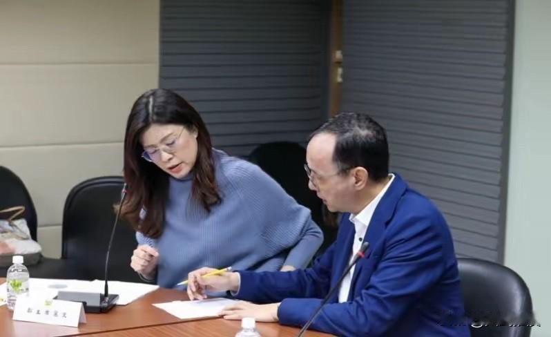 国民党全代会召开在即，历任党主席洪秀柱、吴伯雄、江启臣等均已收到邀请，唯独前主席