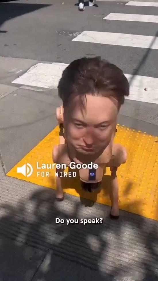 马斯克人头机器狗惊现旧金山街头近日，一只顶着特斯拉CEO埃隆·马斯克逼真面孔的机