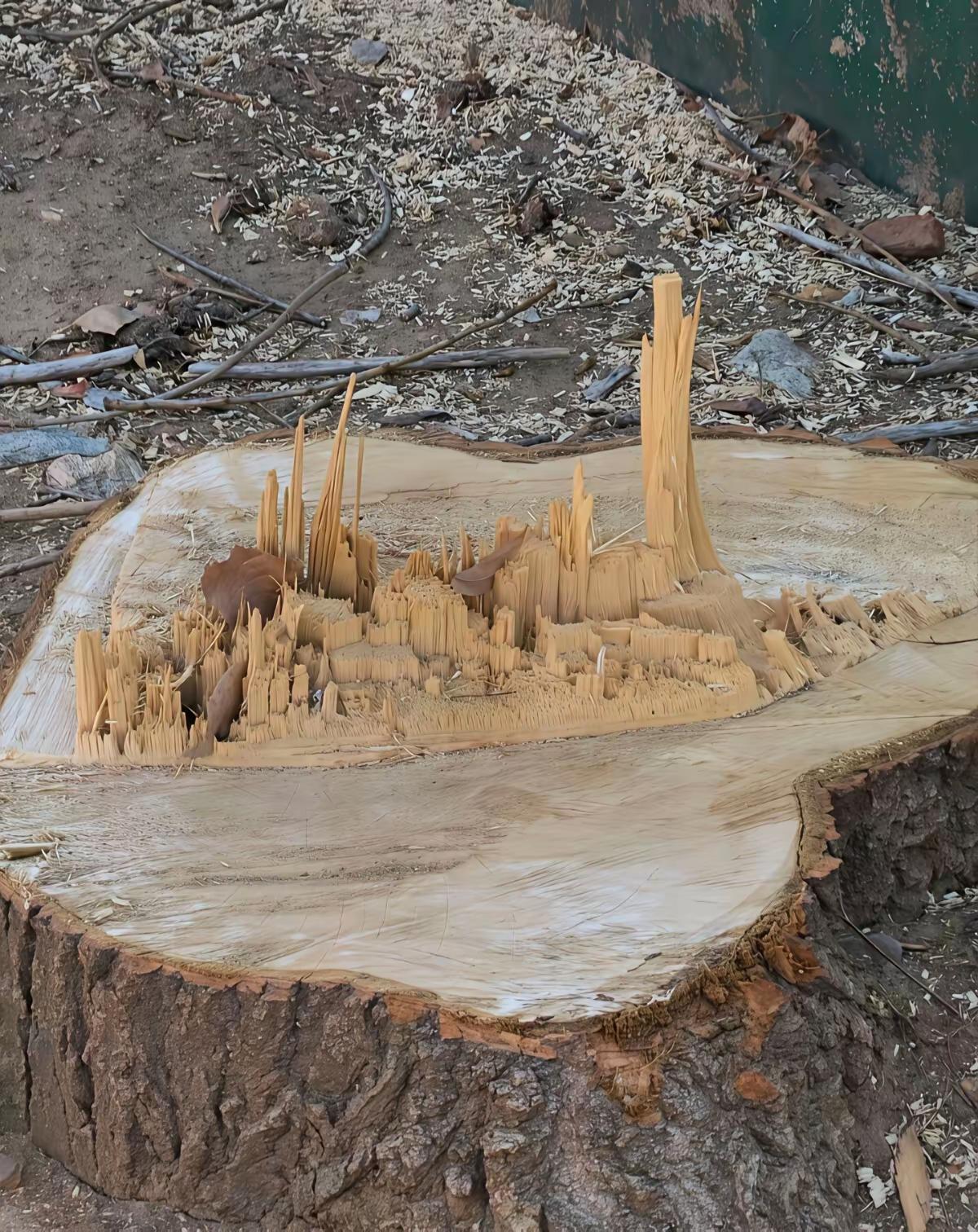 从中你看到了啥不？