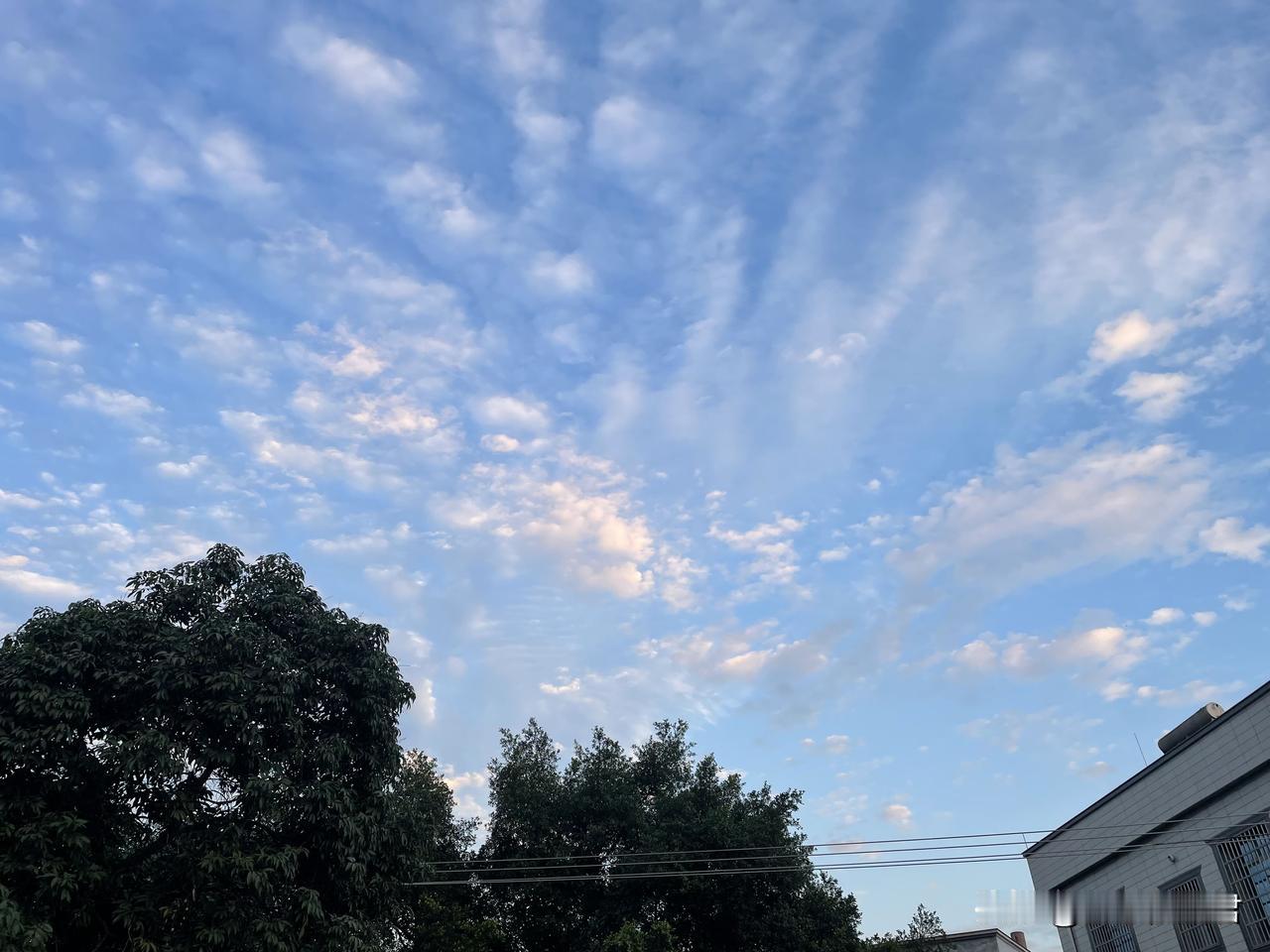 事多的婆婆，真不能和儿媳住一块。一阿姨50岁了，老伴59岁，儿子结婚出去打工，阿