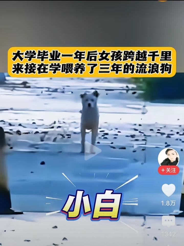 一句“我来带你回家”，感动了无数人，也让我瞬间泪目!大学女生上大学的时候，