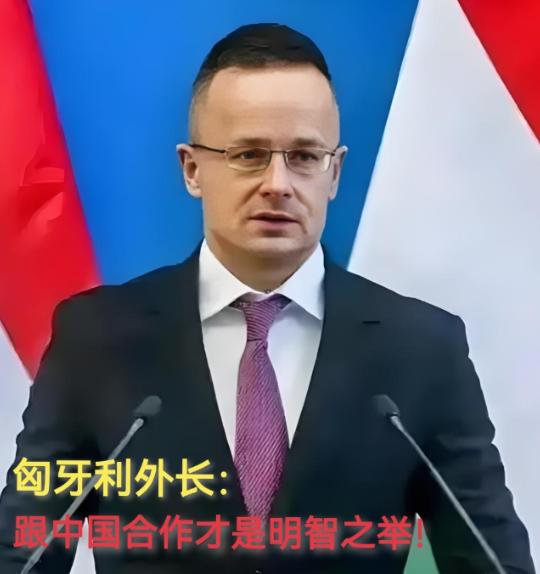 现在全欧洲最后悔的就是德国了吧！不是因为中国，也不是因为美国。而是因为匈牙利。