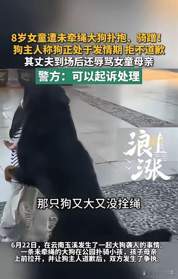 云南玉溪，一女子带狗逛公园，狗的体型较大，还处在发情期，但她却不栓绳，这只狗看见