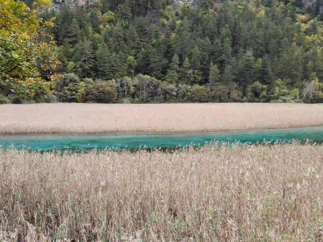 目前九寨沟观景的最佳时机其实尚未到来哦，不信请看我刚刚实地拍摄的这些照片便知啦