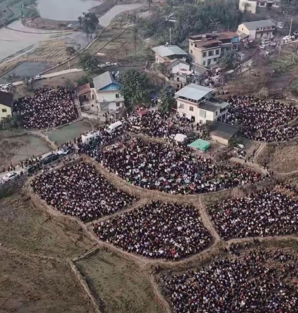 闹翻了！呆呆第二天刨猪汤连央媒也到了，出动安保现场维持秩序两天里，上千人涌进重