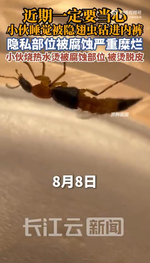 8月9日东北网报道，浙江台州，20多岁男子开着窗，穿着宽松短裤睡觉，第二天突然感