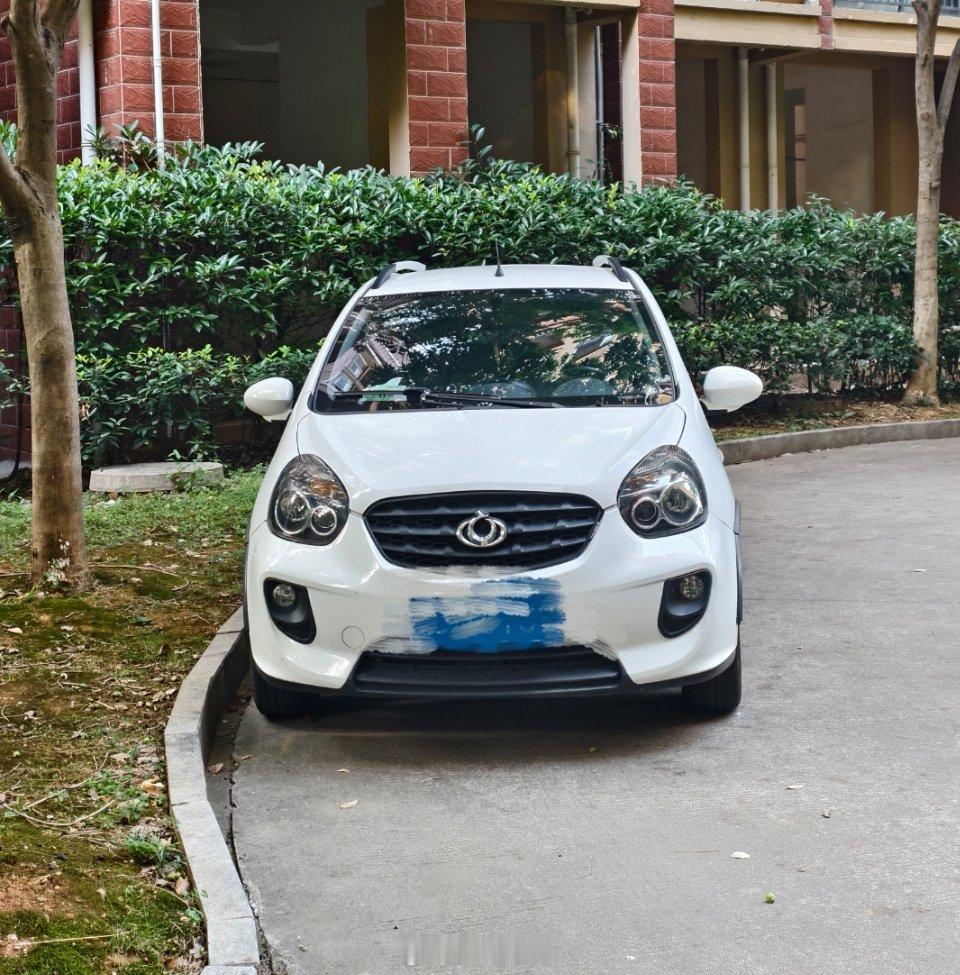 之前对熊猫没啥感觉，想着它为啥叫这名，前两天在小区看到后突然就理解了，是真像🐼