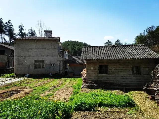 2026年宅基地“最后通牒”来了！2020年7月前无证房抓紧补登，错过这波再等十