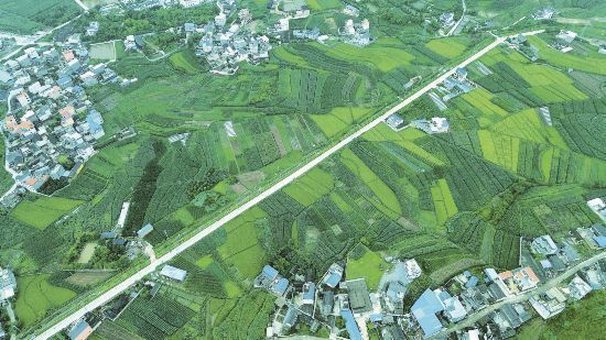 绿色种养 年收千万