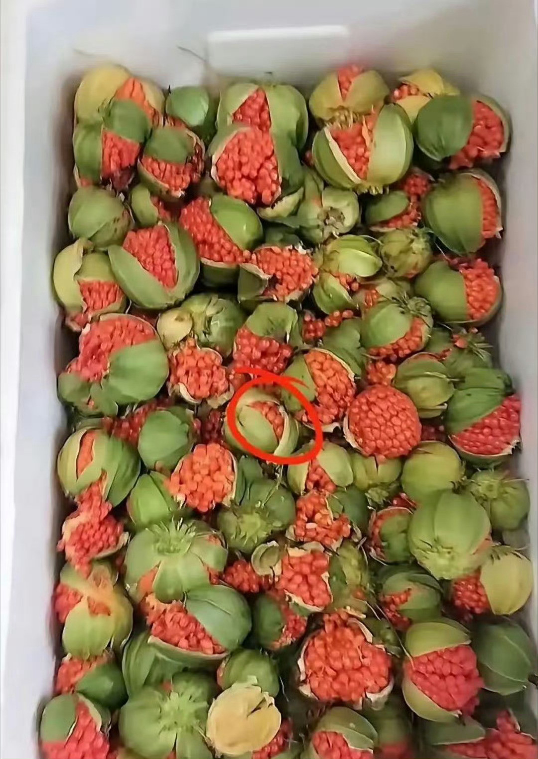 闺蜜朋友寄过来的，两箱送了我一箱以前没见过有点像无花果呢！