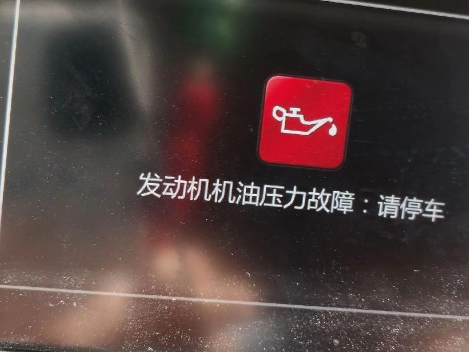 这个灯一红就得靠边熄火了，是机油压力不足。大概率是因为缺机油，也可能是机油泵，管