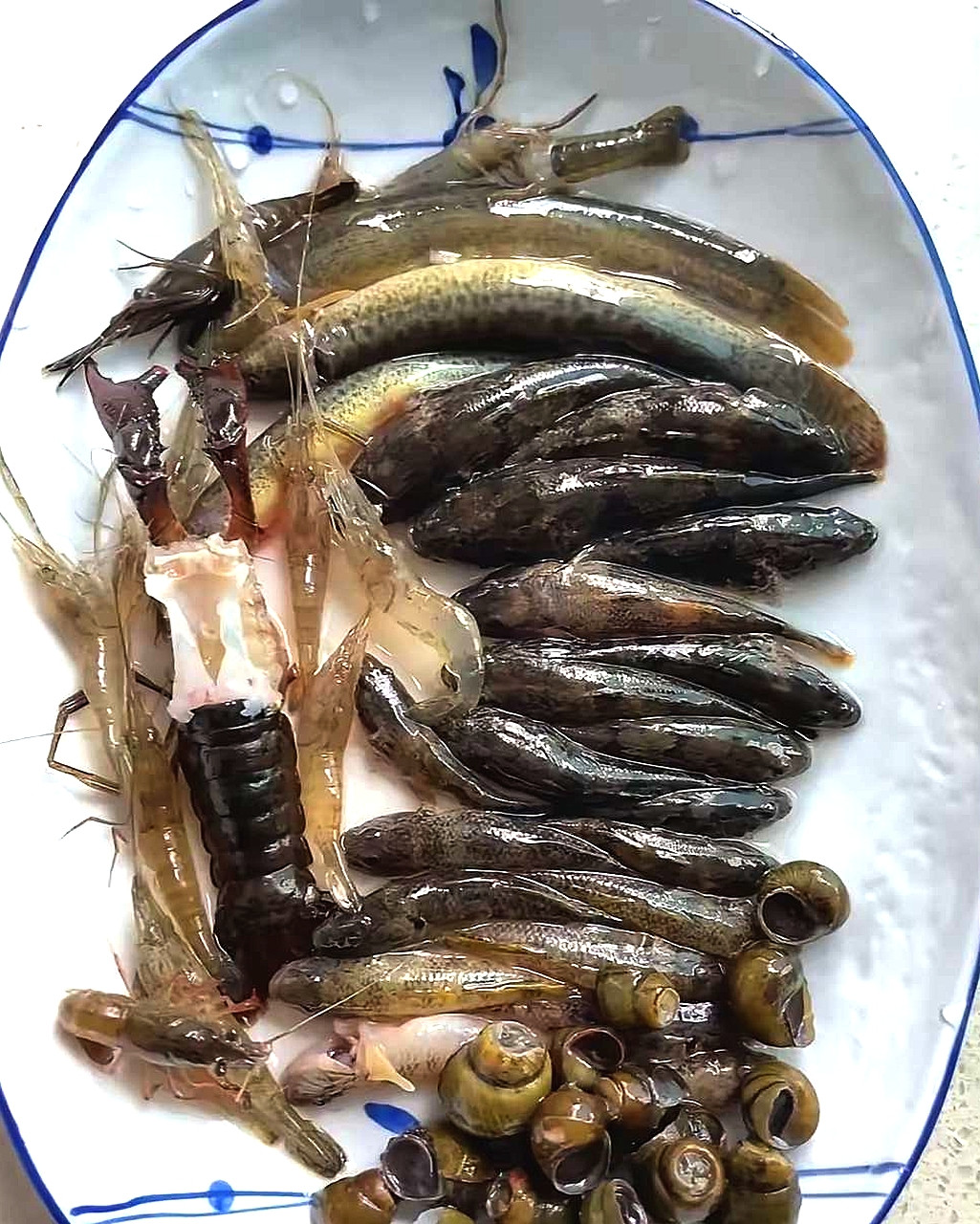 这一盘子800元，贵吗？