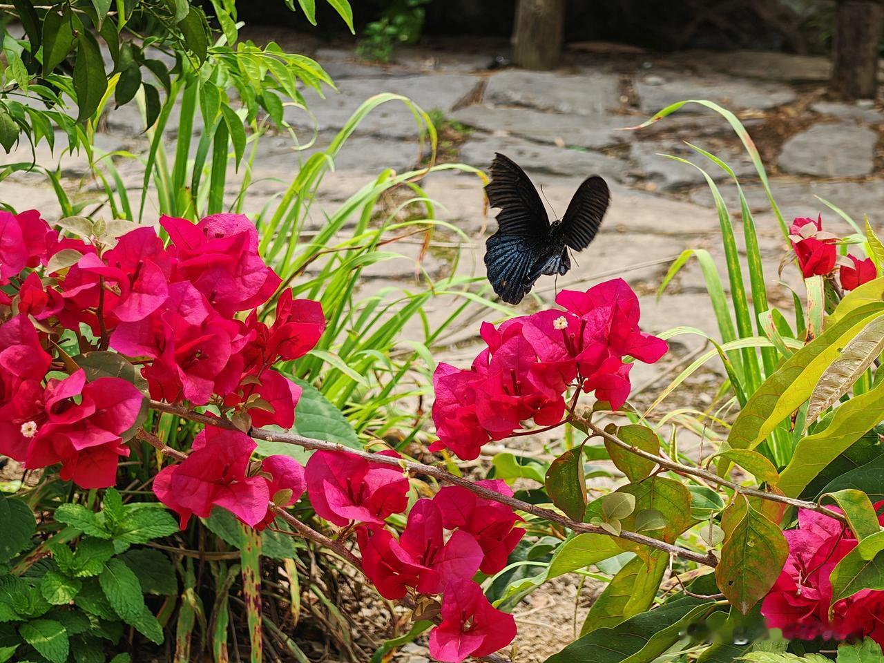 广东有8个城市入选2026年网红城市潜力榜30强，该榜单由北京的新京报发布。就广