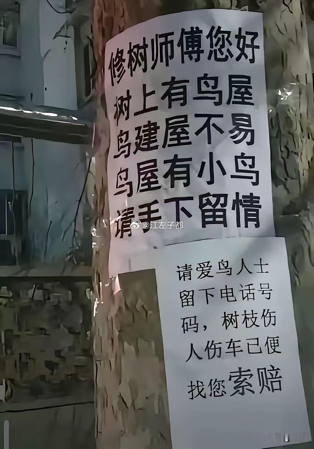 这个
