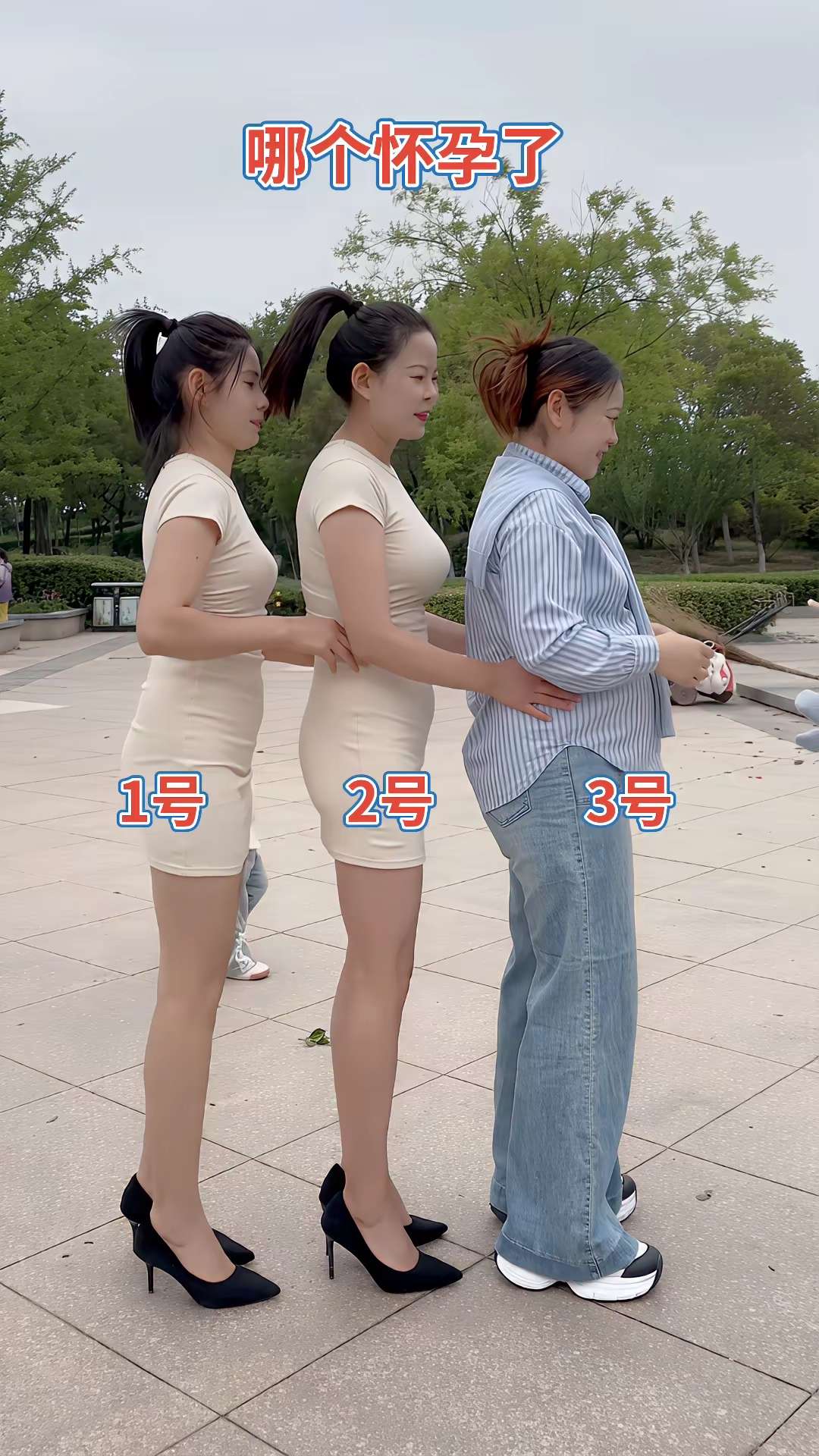 哪个怀孕了？1号。2号。3号。