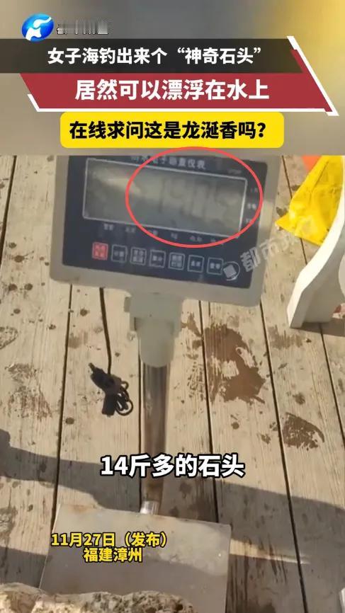 “这简直是捡钱啊！”11月24日，福建漳州，一女子在海边钓鱼时，看到海面上飘着一