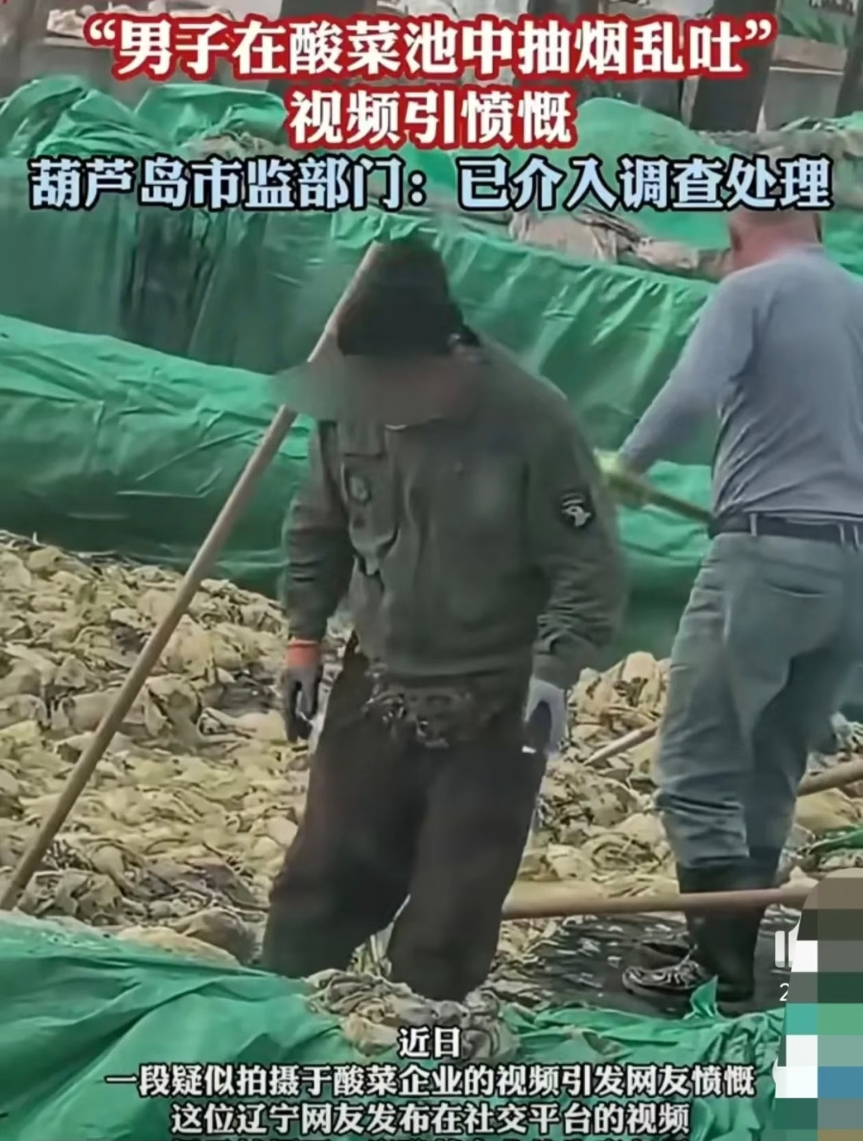 一觉醒来爱吃酸菜的人都沉默了不出意外的，酸菜又一次塌房了，这次是一酸菜厂