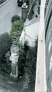 看这轻车熟路的偷情逃跑路线，可以肯定这已经不是第一次了[捂脸哭][捂脸哭][捂脸哭]