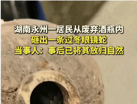 12月4日报道湖南一男子捡到一个酒瓶，误以为是古董，没想到是惊吓。[吐舌头笑]