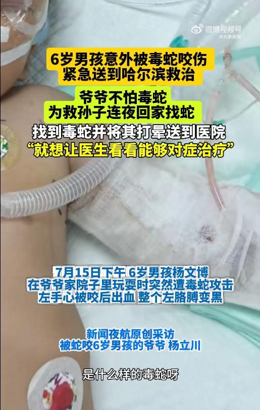 “拼上老命了！”7月15日，黑龙江，孙子到山脚下的爷爷家玩，结果被毒蛇咬伤，爷爷