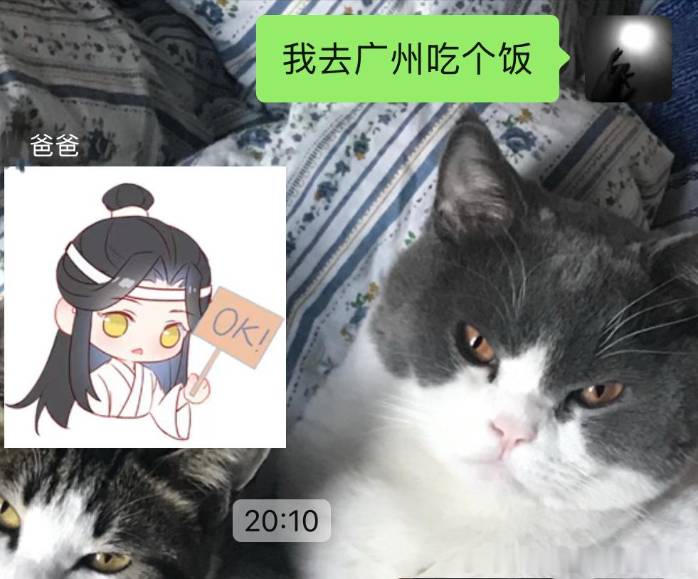 我爸从哪薅的表情包）