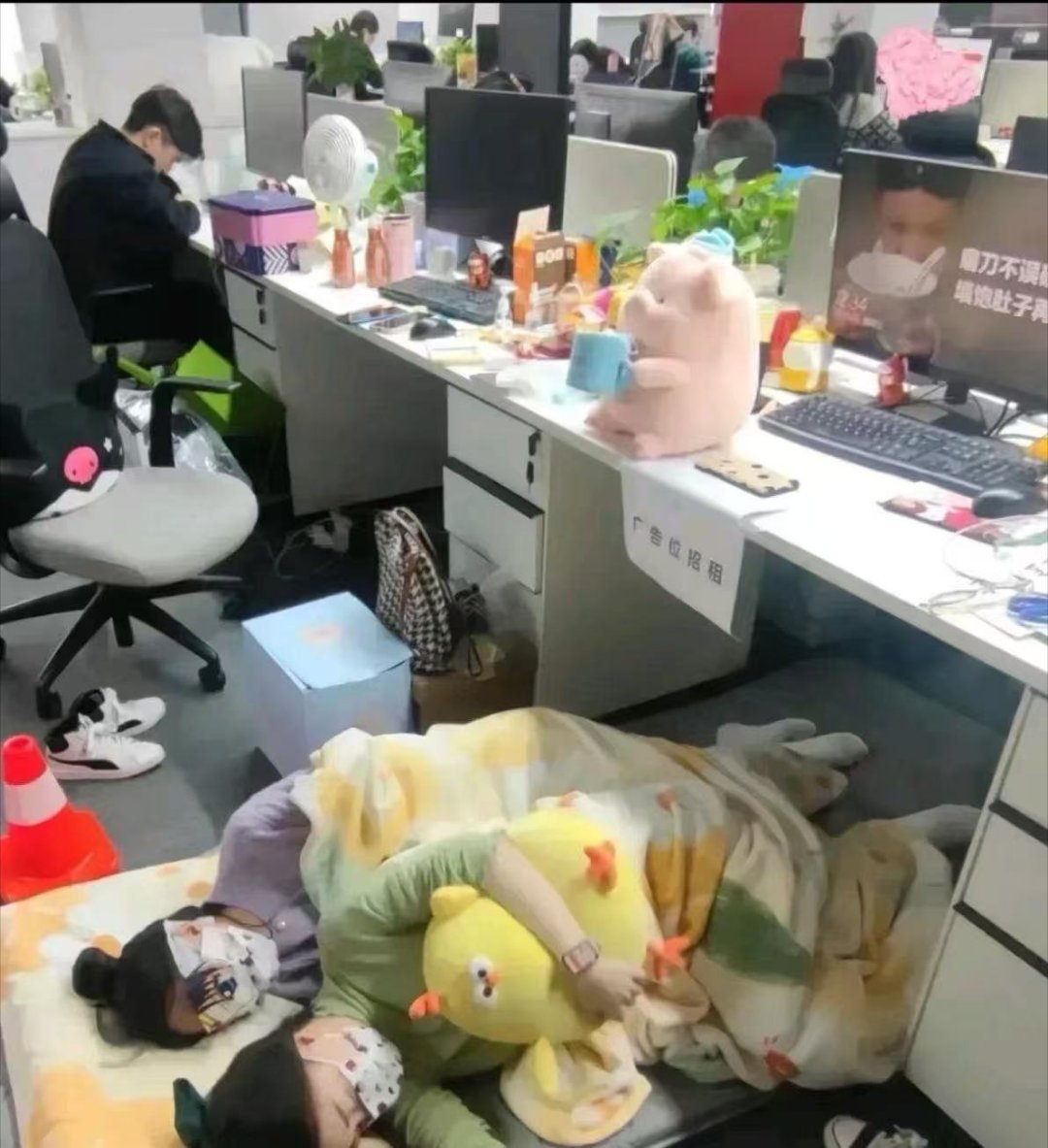 一个敢放，一个敢睡，不得不说，这是一个良心老板！