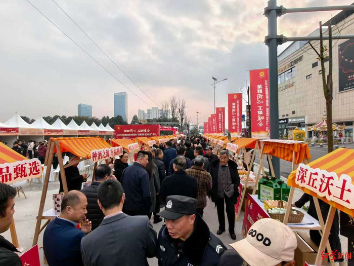 金堂新春活动助力游子返乡创业 回乡兴业路越走越宽