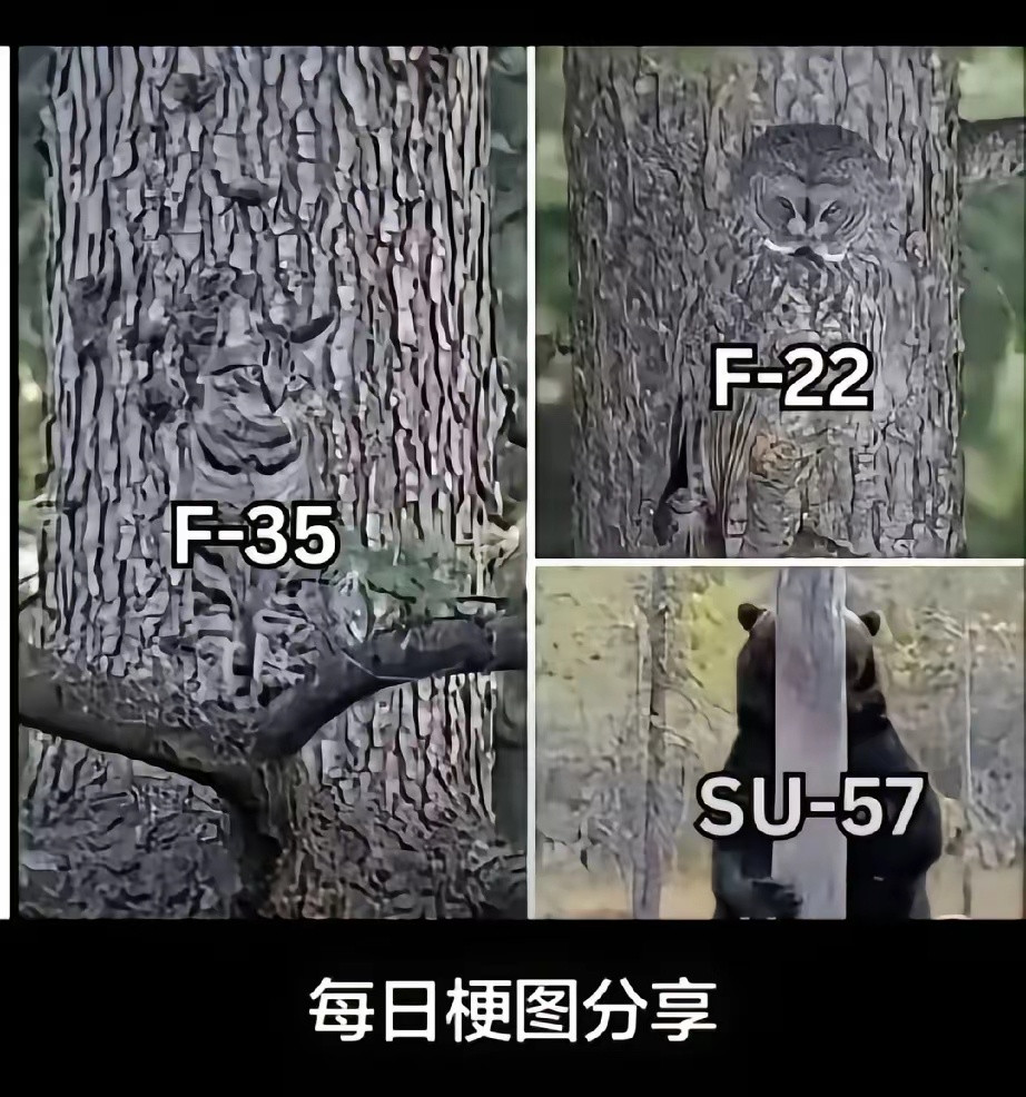 这么形容隐身战斗机你理解了不？