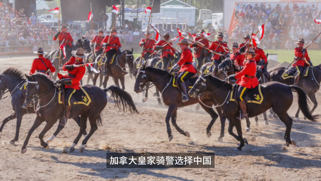 加拿大皇家骑警启用中国大疆无人机监控美边境, 震撼美国!